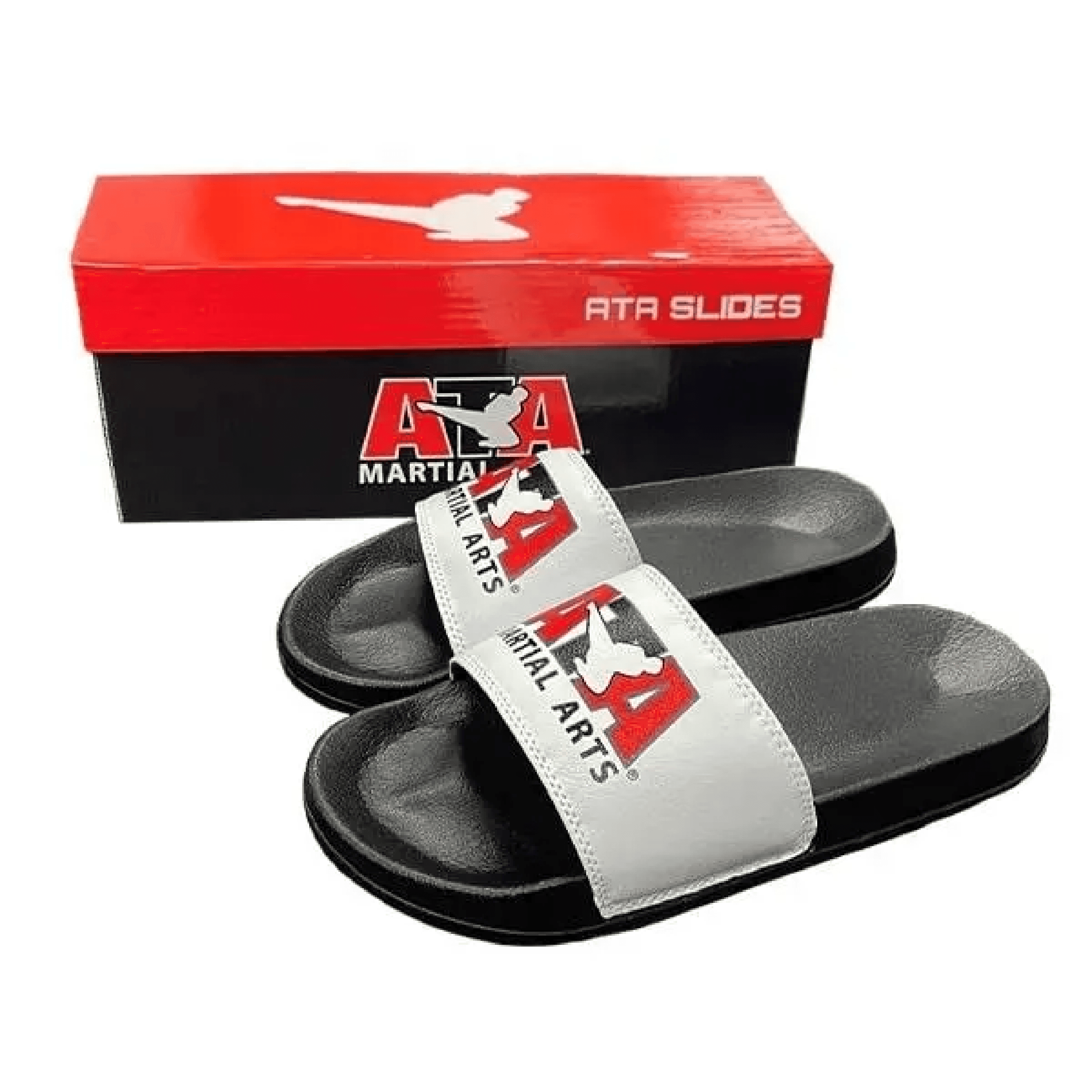 ATA MA Slides - image 1 of 2